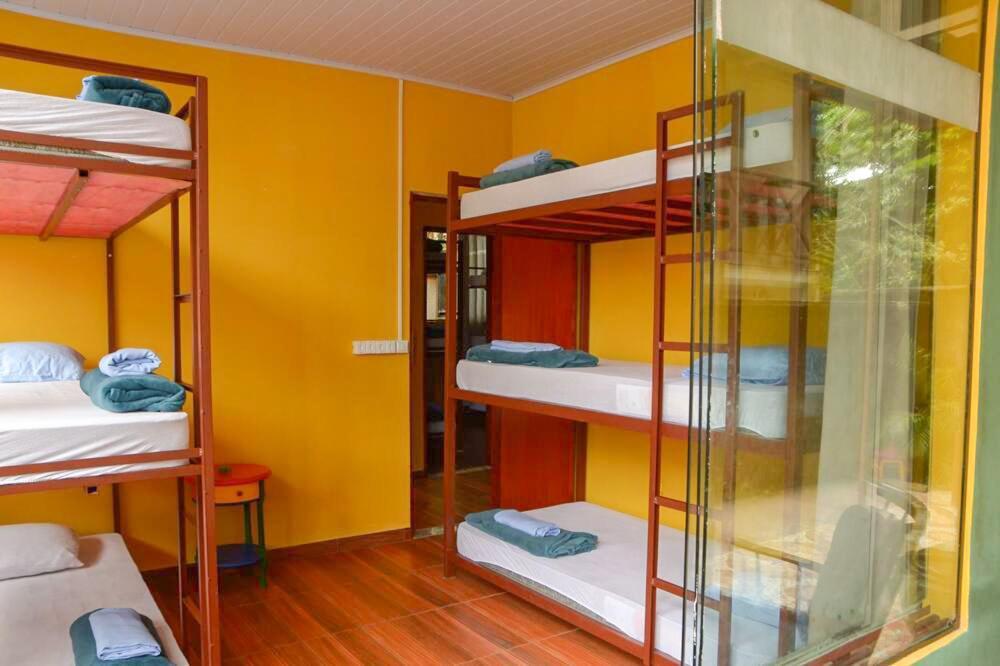 Hostel Mpb Ilha Grande Экстерьер фото