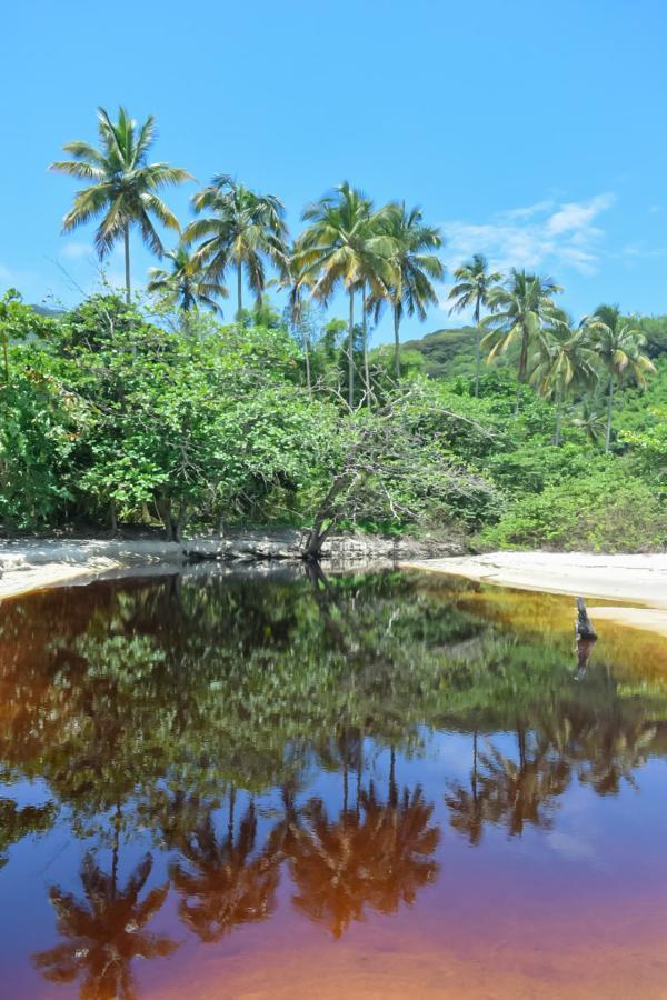 Hostel Mpb Ilha Grande Экстерьер фото